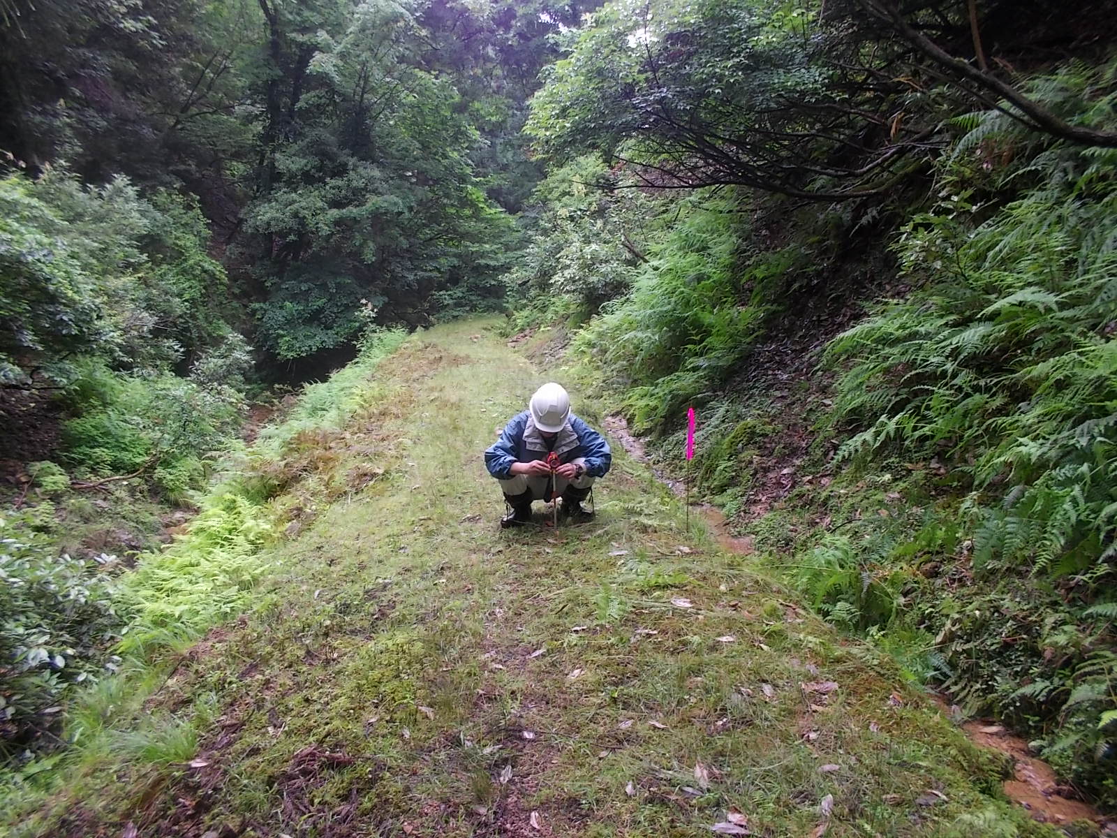 郷村・山田断層帯調査のイメージ画像